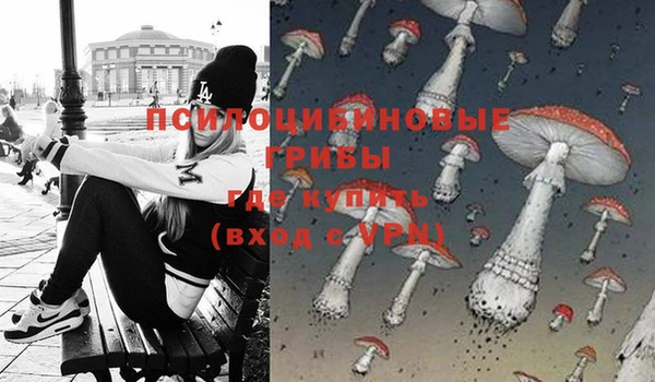 эйфоретик Абаза