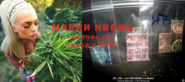 индика Абдулино