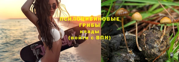марки lsd Алзамай