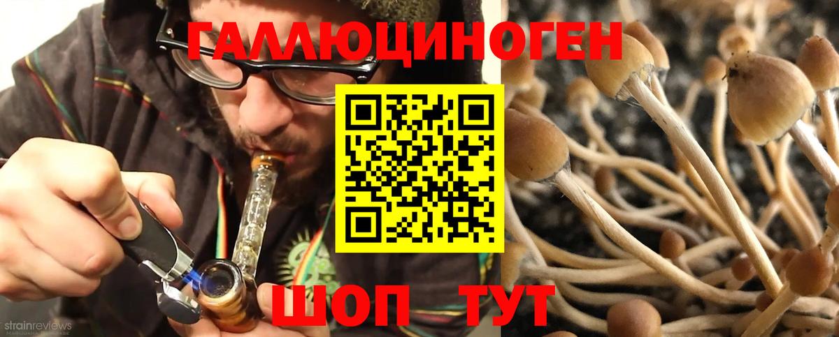 Нижнекамск  Галлюциногенные грибы ЛСД  Вход с VPN 