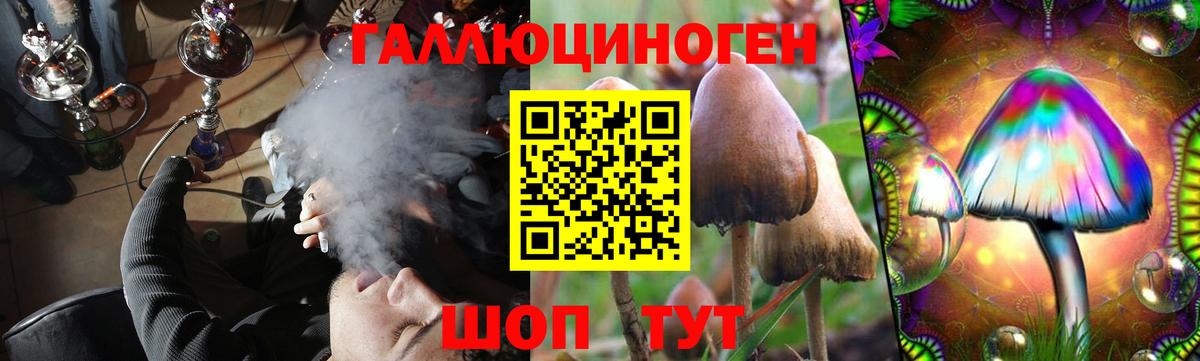 Галлюциногенные грибы мицелий Нижнекамск